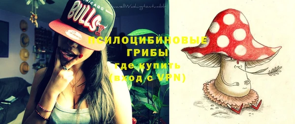 прущие крисы Белоозёрский