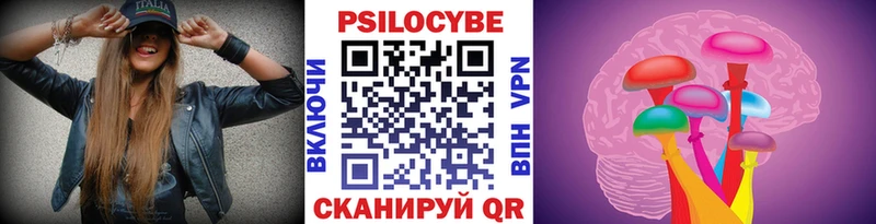 Купить закладки  Котельники  Псилоцибиновые грибы мицелий 